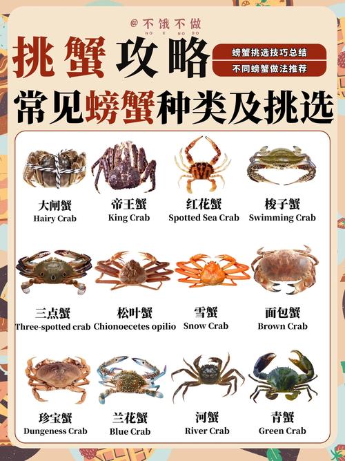 河蟹的养殖技术及方法-图1 河蟹的养殖技术及方法-图1