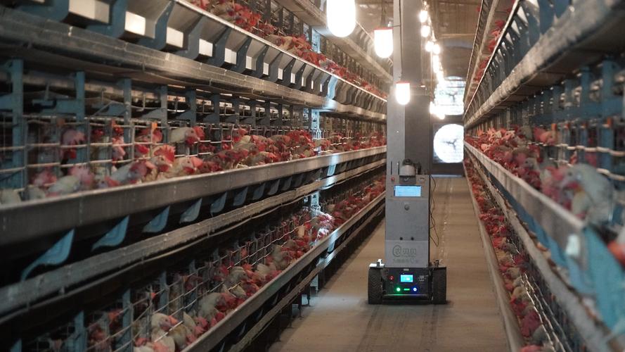 农业养殖技术官网视频-图3 农业养殖技术官网视频-图3