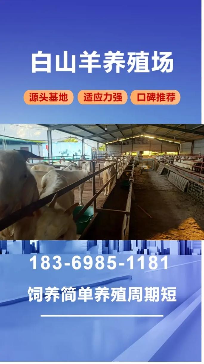 黑山羊价格今日羊价格表-图1 黑山羊价格今日羊价格表-图1