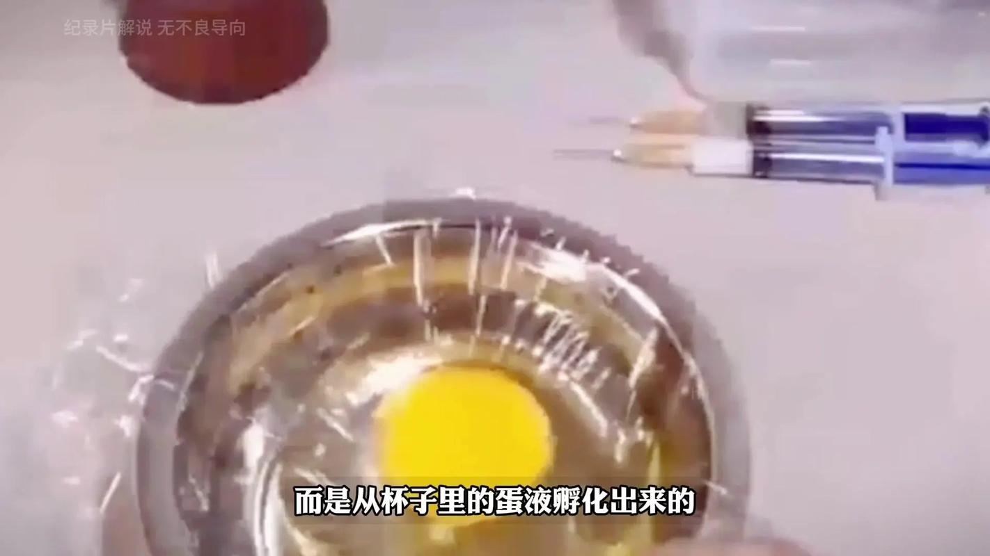 农村水袋孵化鸡蛋技术-图3 农村水袋孵化鸡蛋技术-图3