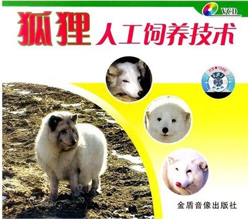 蓝孤养殖技术视频下载-图1 蓝孤养殖技术视频下载-图1