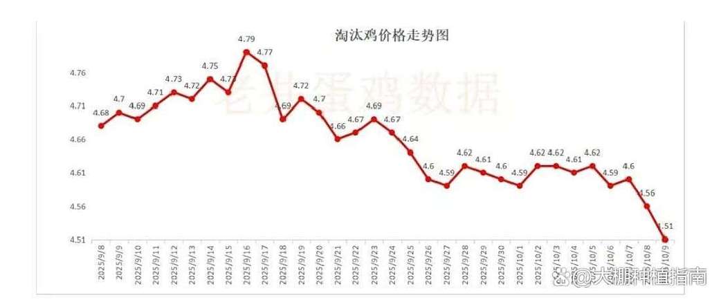 蛋鸡价格淘汰鸡价格行情-图3 蛋鸡价格淘汰鸡价格行情-图3