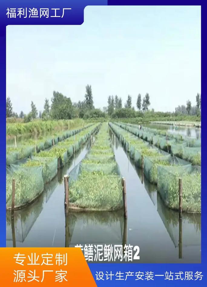 淡水鲈鱼网箱养殖技术-图1 淡水鲈鱼网箱养殖技术-图1