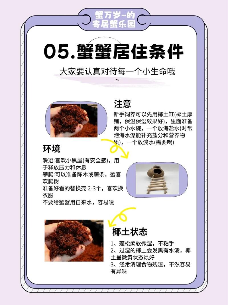 室内蟹养殖技术与方法-图1 室内蟹养殖技术与方法-图1