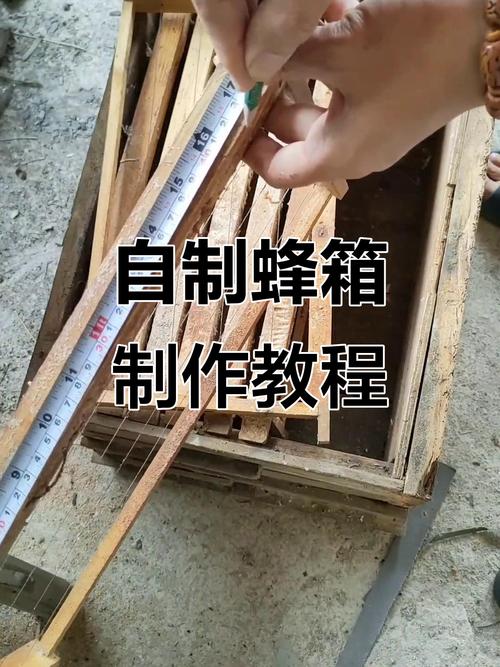 中蜂繁殖技术如何高效提升？-图3
