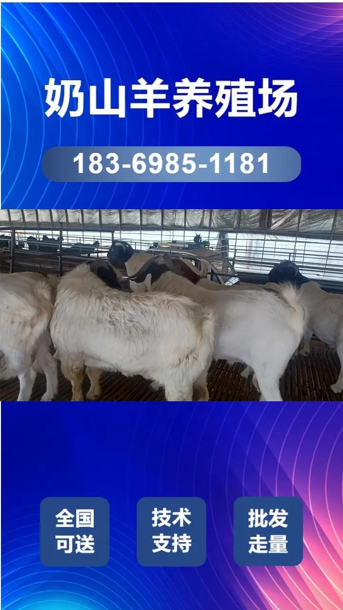 浙江省养羊那个品种好-图1 浙江省养羊那个品种好-图1