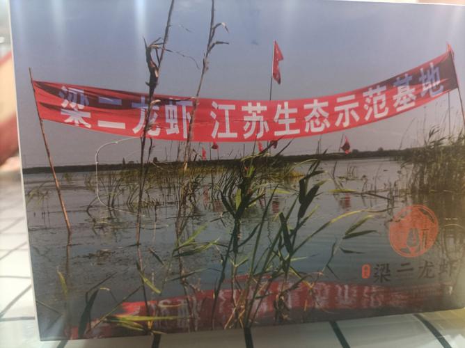 大闸蟹塘套养龙虾,技术要点有哪些?-图1 大闸蟹塘套养龙虾,技术要点有哪些?-图1