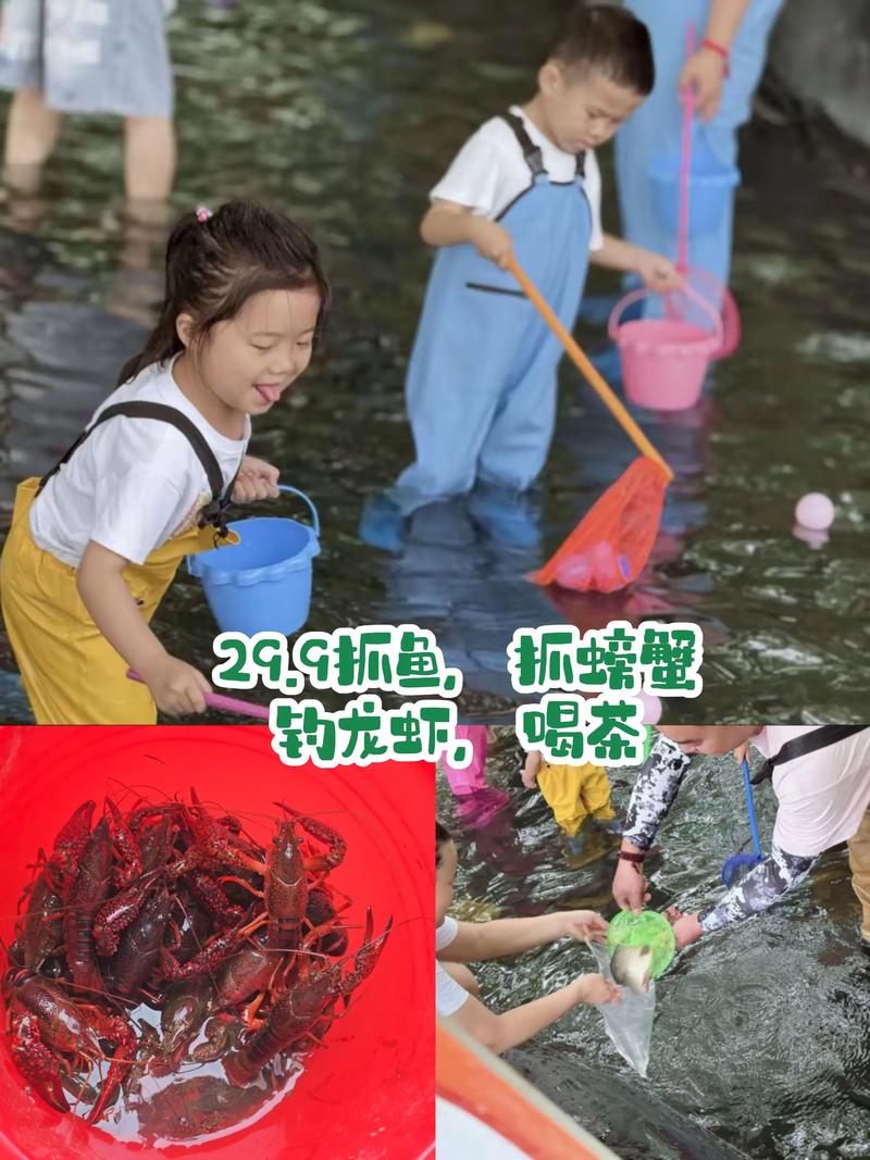 大闸蟹塘套养龙虾,技术要点有哪些?-图3 大闸蟹塘套养龙虾,技术要点有哪些?-图3