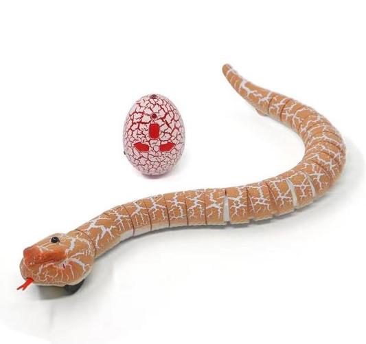 大王蛇无冬眠养殖技术可行吗?-图1 大王蛇无冬眠养殖技术可行吗?-图1