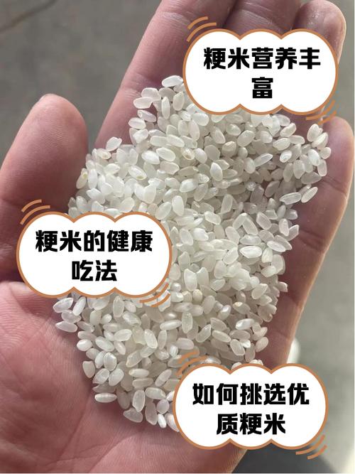 水稻龙粳52品种有何特性与优势？-图3