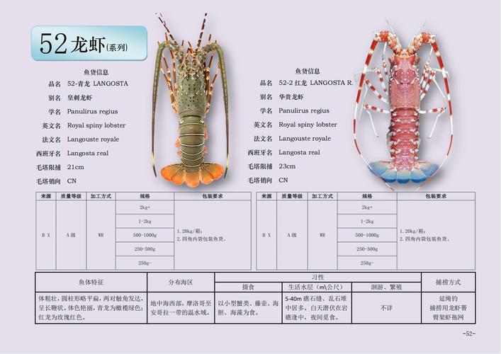 龙虾价格今日行情如何?-图2 龙虾价格今日行情如何?-图2
