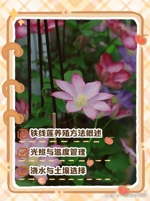 全线连种植的技术方法-图3 全线连种植的技术方法-图3