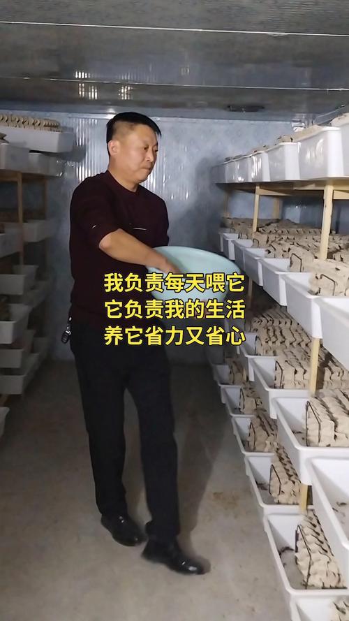 哪里可以学到养蝎技术-图3