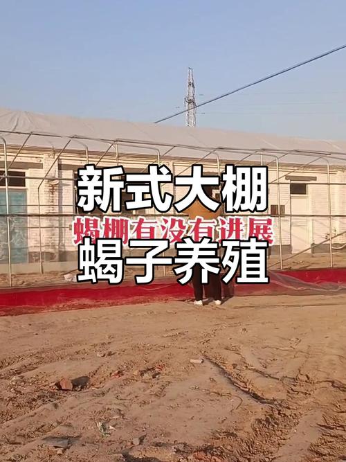 哪里可以学到养蝎技术-图2