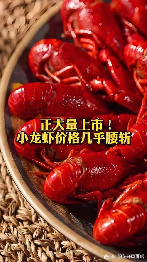 2025年常州小龙虾价格会涨还是跌？-图2