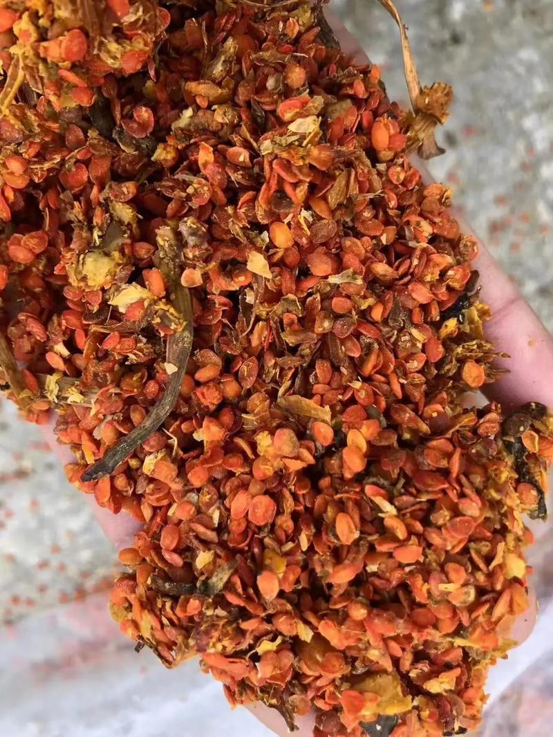 酒糟的养殖方法和技术-图3 酒糟的养殖方法和技术-图3