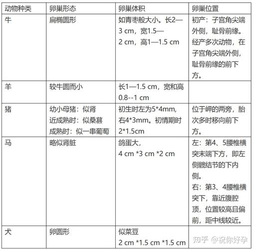 牛胚胎移植技术究竟有何重大意义?-图1 牛胚胎移植技术究竟有何重大意义?-图1