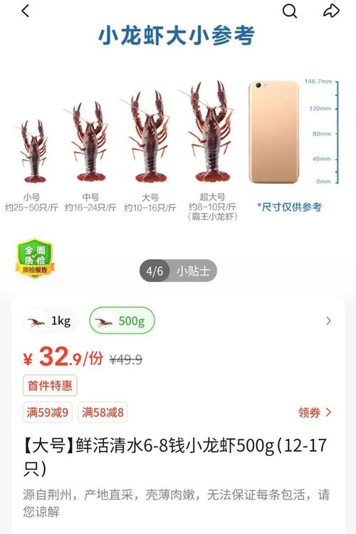 上海小龙虾批发价今日多少钱一斤？-图2
