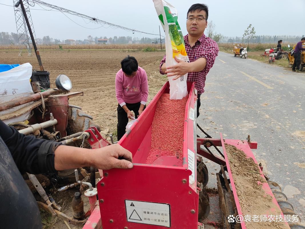 小麦种植高产技术视频有哪些关键要点?-图2 小麦种植高产技术视频有哪些关键要点?-图2