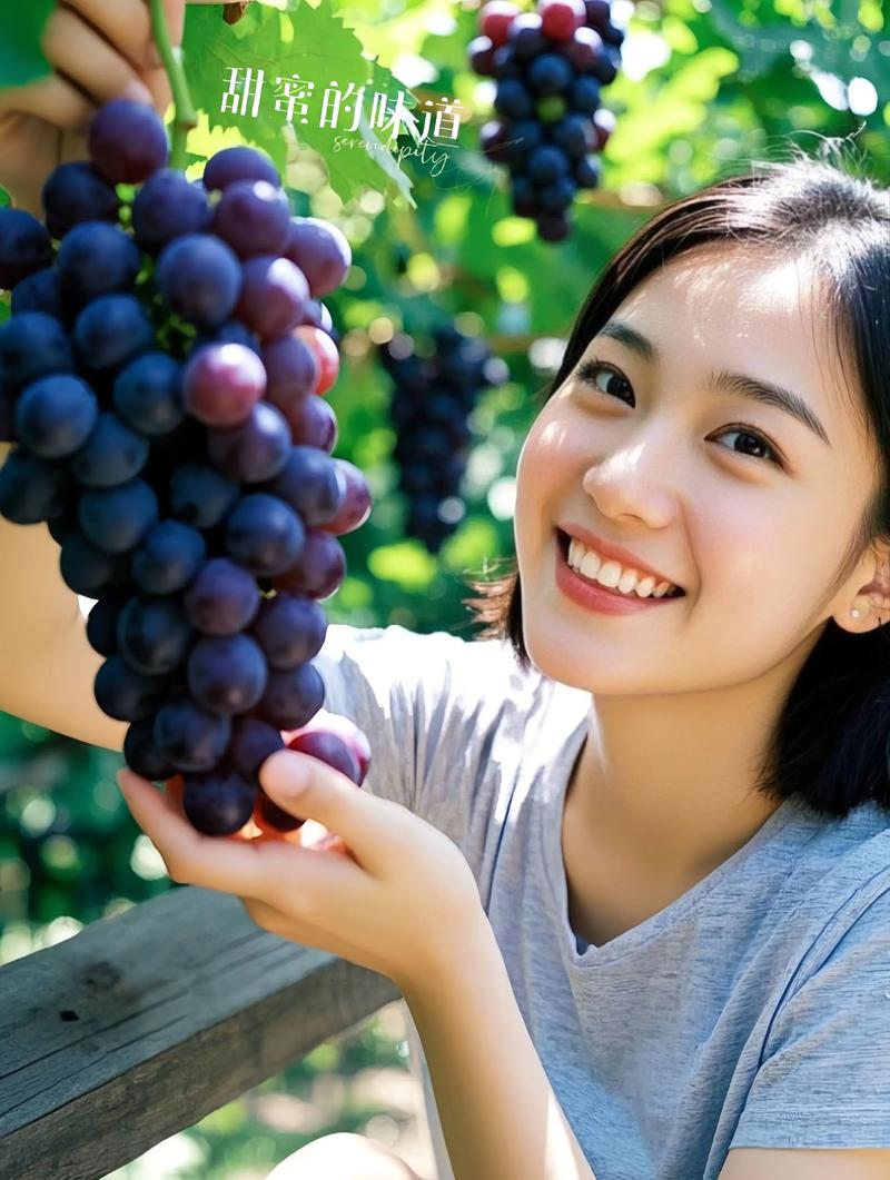 巨峰葡萄水肥管理技术-图2 巨峰葡萄水肥管理技术-图2