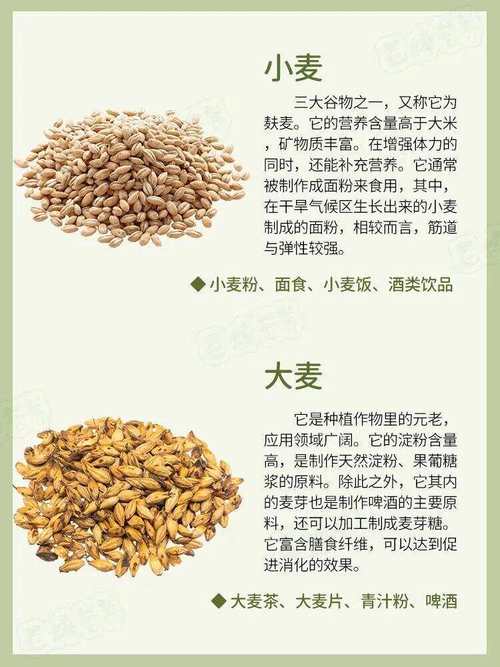 优良品种粮食有何核心特点？-图2