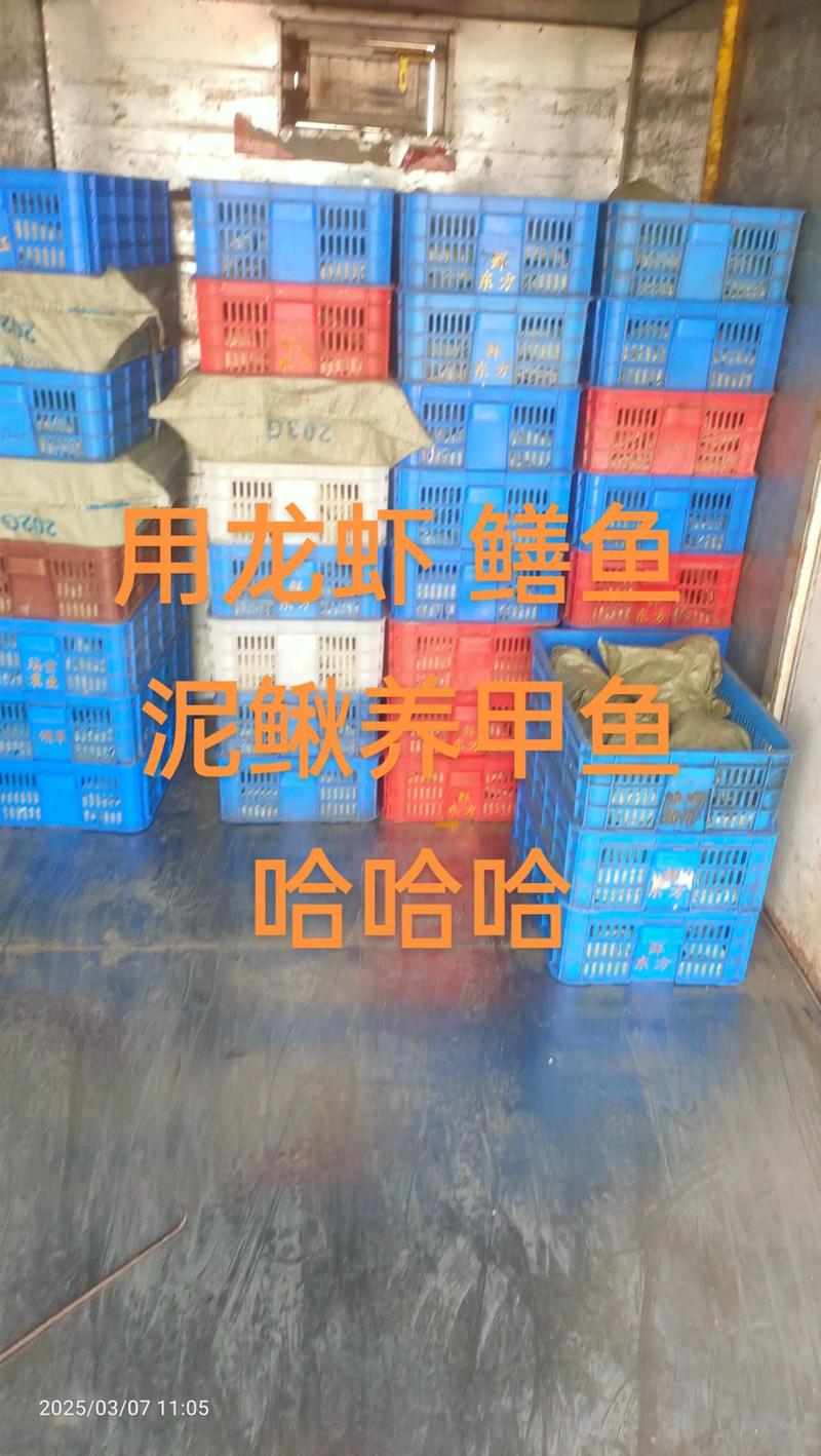 甲鱼鳝鱼混养,如何实现互利共生?-图1 甲鱼鳝鱼混养,如何实现互利共生?-图1