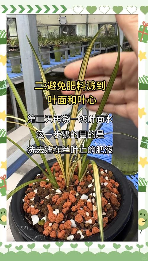 盆栽花卉尿素施肥怎么用才安全有效?-图1 盆栽花卉尿素施肥怎么用才安全有效?-图1
