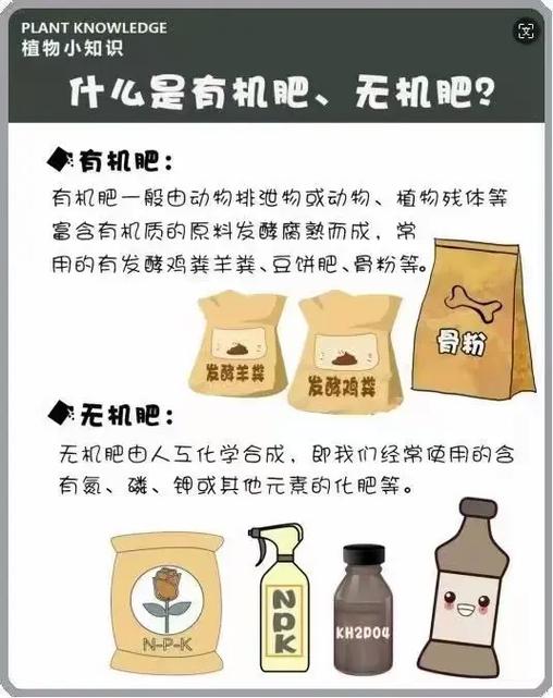 盆栽花卉尿素施肥怎么用才安全有效?-图2 盆栽花卉尿素施肥怎么用才安全有效?-图2