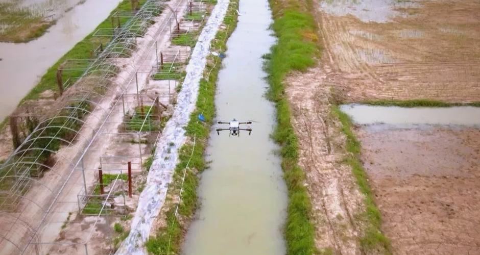 稻田虾养殖技术要点有哪些？-图3