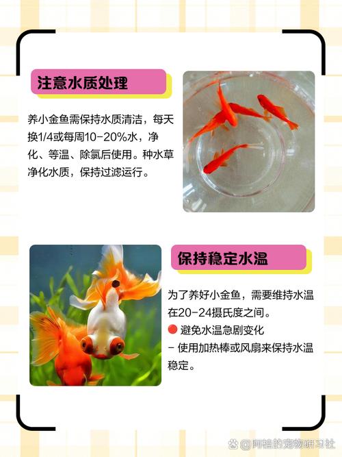 福寿鱼养殖关键技术有哪些?-图1 福寿鱼养殖关键技术有哪些?-图1