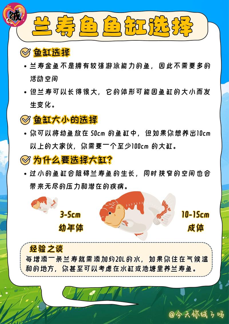 福寿鱼养殖关键技术有哪些?-图2 福寿鱼养殖关键技术有哪些?-图2