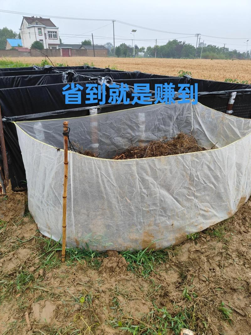 室内蚯蚓养殖技术推广-图1