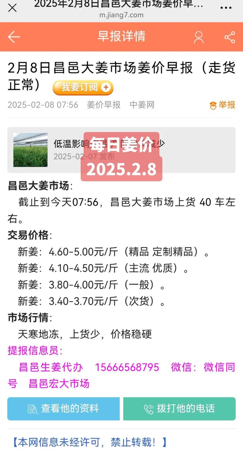 2025年大姜价格会涨还是会跌？-图3