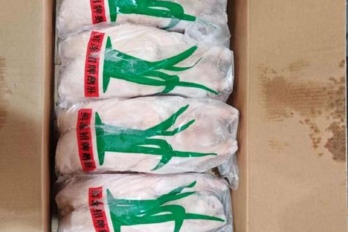 郎德鹅与白鹅杂交有何优势?-图2 郎德鹅与白鹅杂交有何优势?-图2