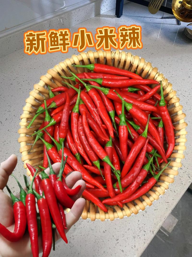 小米辣品种到底有哪些？-图2