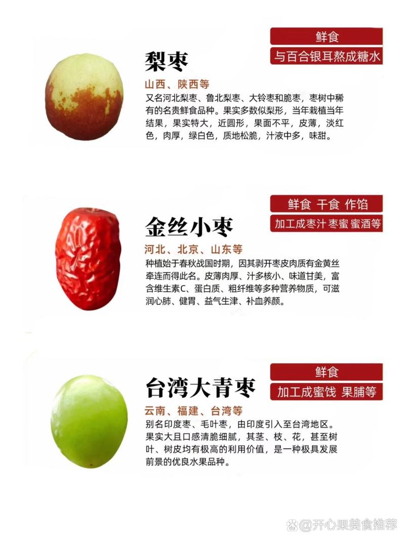 大王枣和梨枣，哪个品种更好？-图1