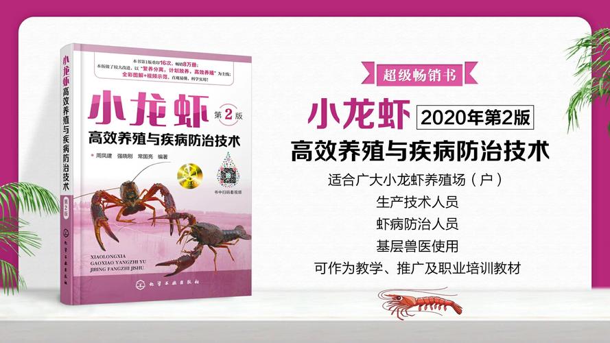 学养龙虾技术哪里靠谱？-图2