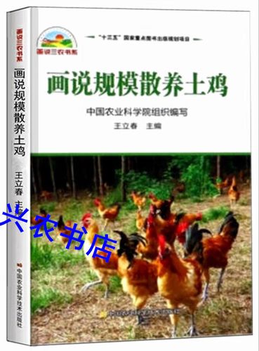 散养土鸡如何有效预防疾病？-图2