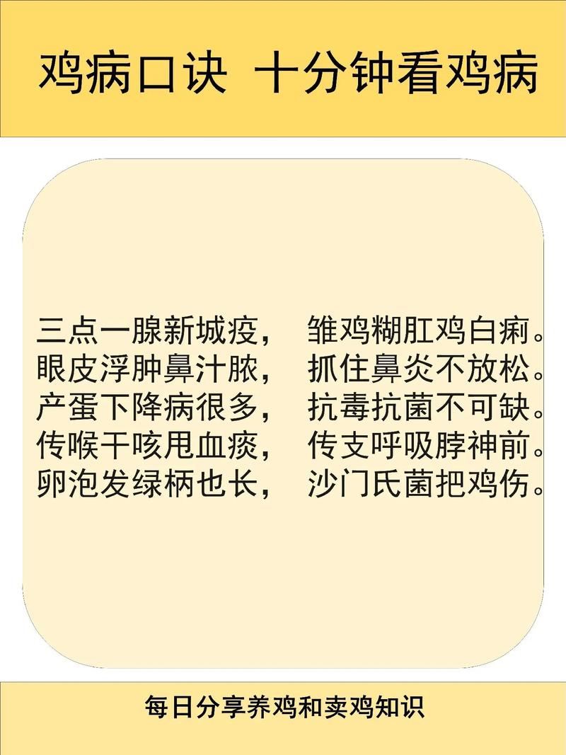散养土鸡如何有效预防疾病?-图1 散养土鸡如何有效预防疾病?-图1