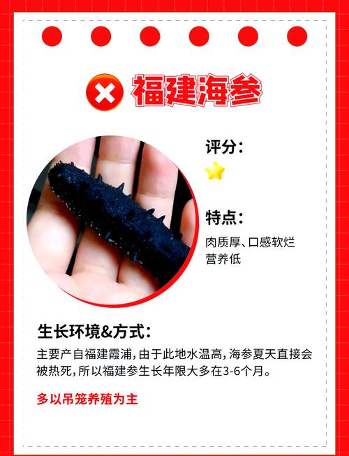 2025年海参价格会涨还是会跌？-图2