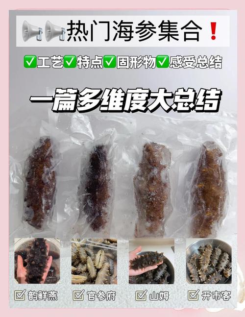 2025年海参价格会涨还是会跌？-图3