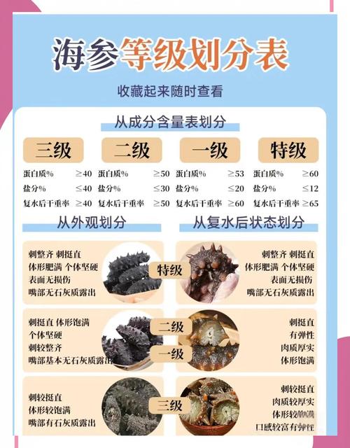 2025年海参价格会涨还是会跌？-图1