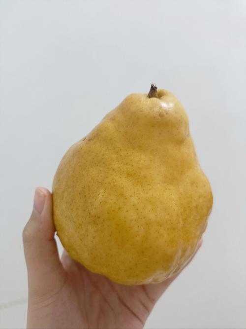 好大个的梨是什么品种？-图3