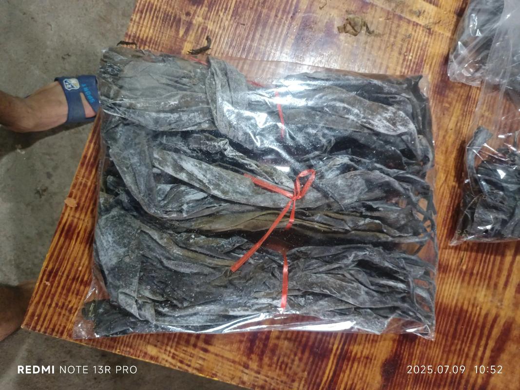 2025年海带批发价格会涨还是跌？-图3