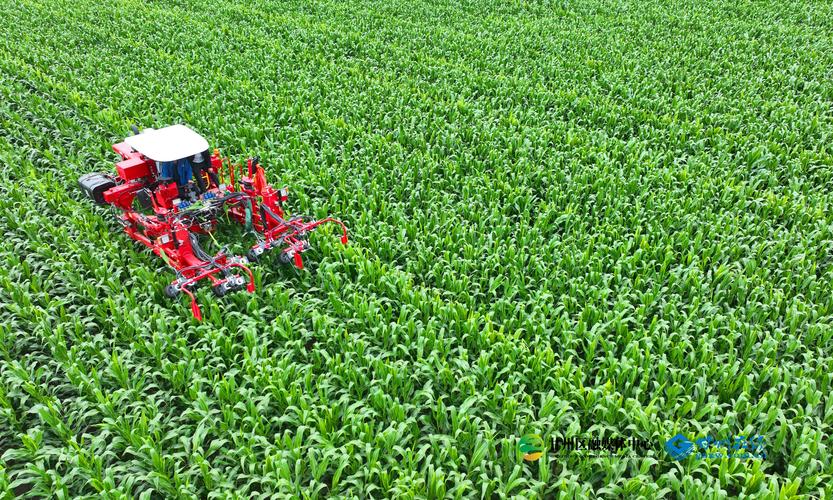 水稻玉米种植技术视频-图1