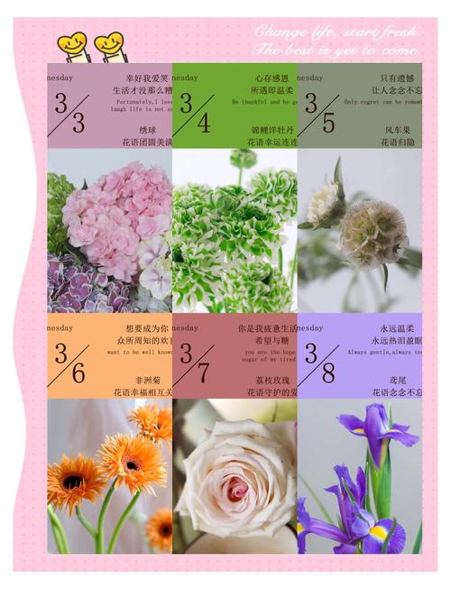 花的品种与开放日期有何关联?-图1 花的品种与开放日期有何关联?-图1