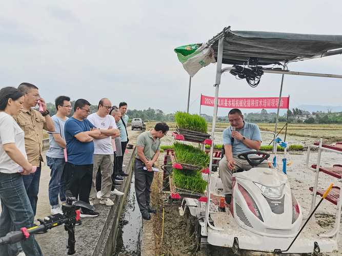 种植水稻技术讲座视频-图2