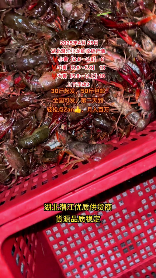 2025小龙虾批发价格会涨还是会跌？-图1