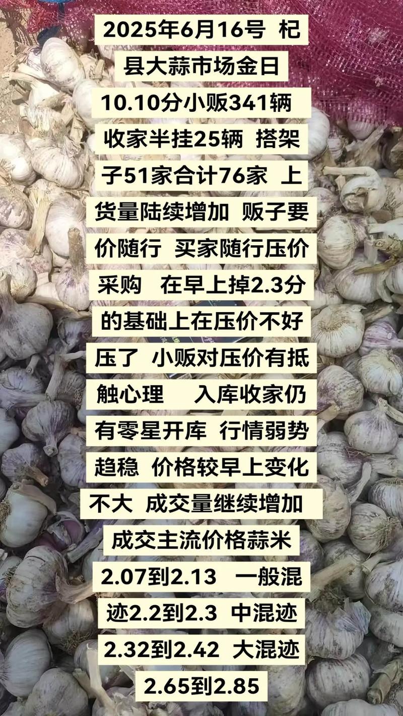 2025年6月大蒜价格会涨还是跌?-图1 2025年6月大蒜价格会涨还是跌?-图1