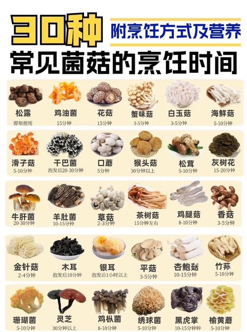 10种食用菌有何特性与功效?-图1 10种食用菌有何特性与功效?-图1